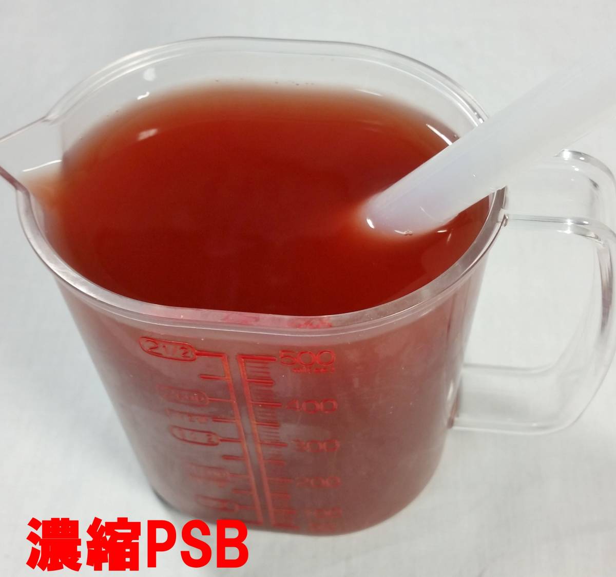 【☆匿名配送☆濃縮PSB 光合成細菌 (自家培養) 1.8L 金魚 メダカ ゾウリムシ ミジンコ 水質浄化 稚魚育成に】_画像2