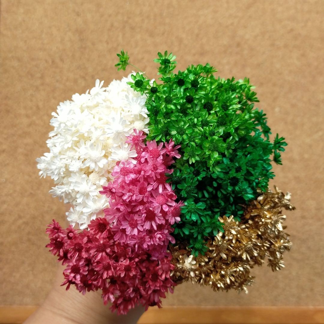 ハーバリウムボールペン　レジン アクセサリー 花材セット 気まぐれ素材　Xmas