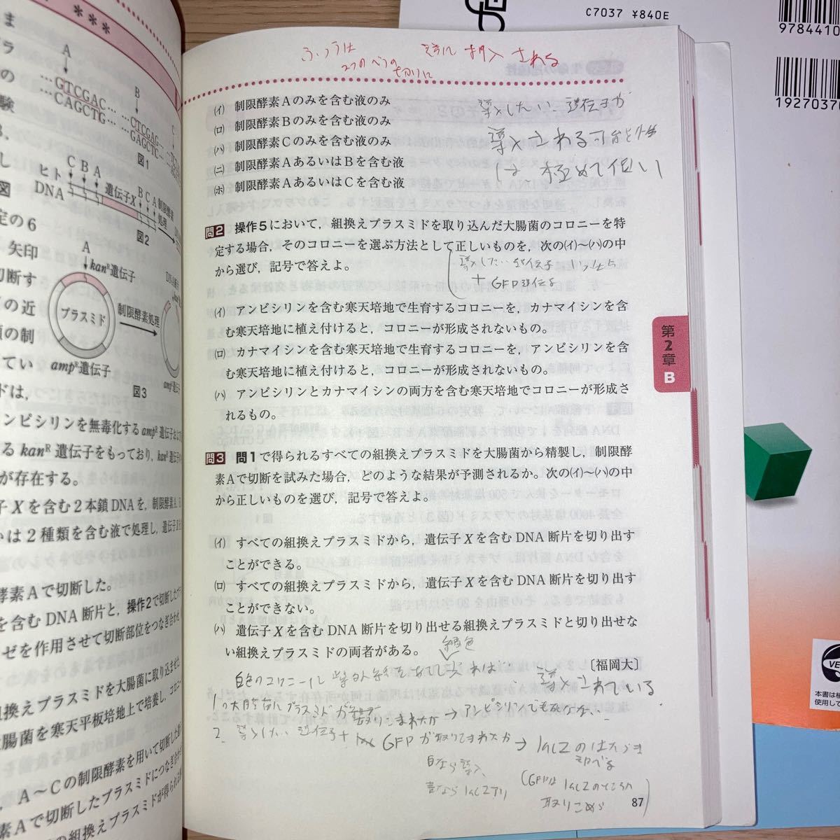 生物重要問題集&生物標準問題集　大森徹　駿台　遺伝　代謝　遺伝子　進化　系統　生物基礎　共通テスト　参考書