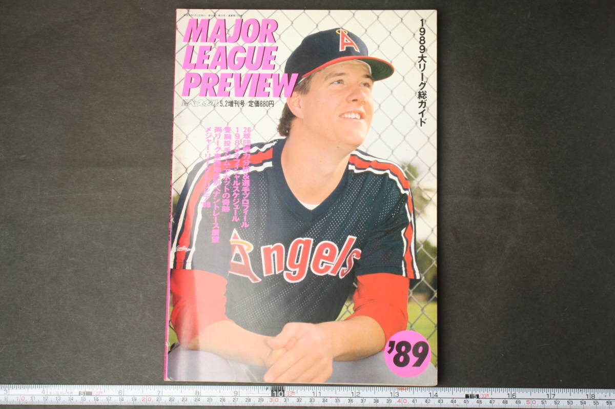 4841 weekly Baseball 5*2 increase . number 1989 fiscal year edition Major League Revue MAJOR LEAGUE REVIEWING 1989 year large Lee g compilation Heisei era origin year 