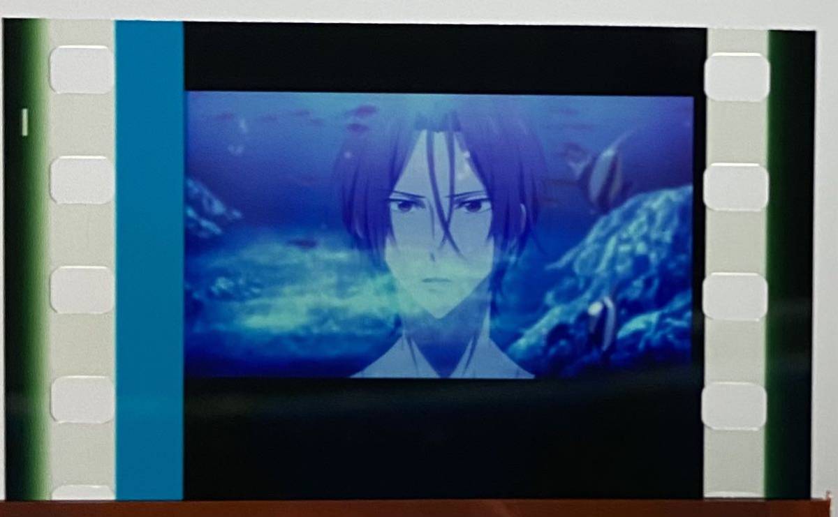海外限定】 劇場版 Free コマフィルム 特典 松岡 凛 econet.bi