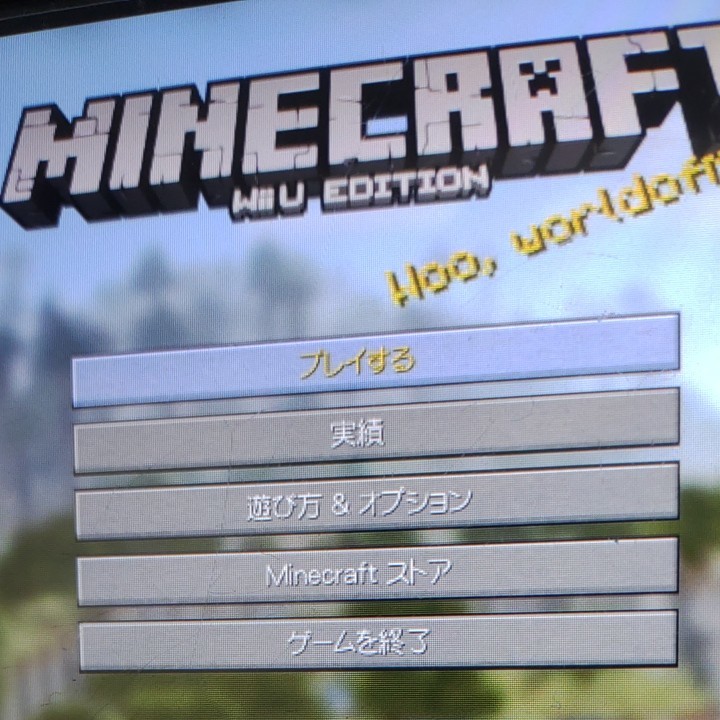WiiU Minecraft マインクラフト