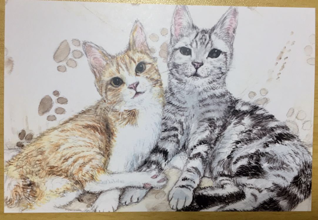 オリジナル 手描き ねこのこども2 イラスト ポストカード 子猫 水彩画 猫 茶トラ 複製 から厳選した イラスト