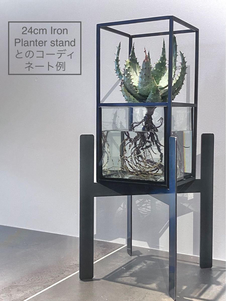 大切な ☆Botanic Cube☆水耕栽培キット 鉢 プランター アイアン 水槽 ...
