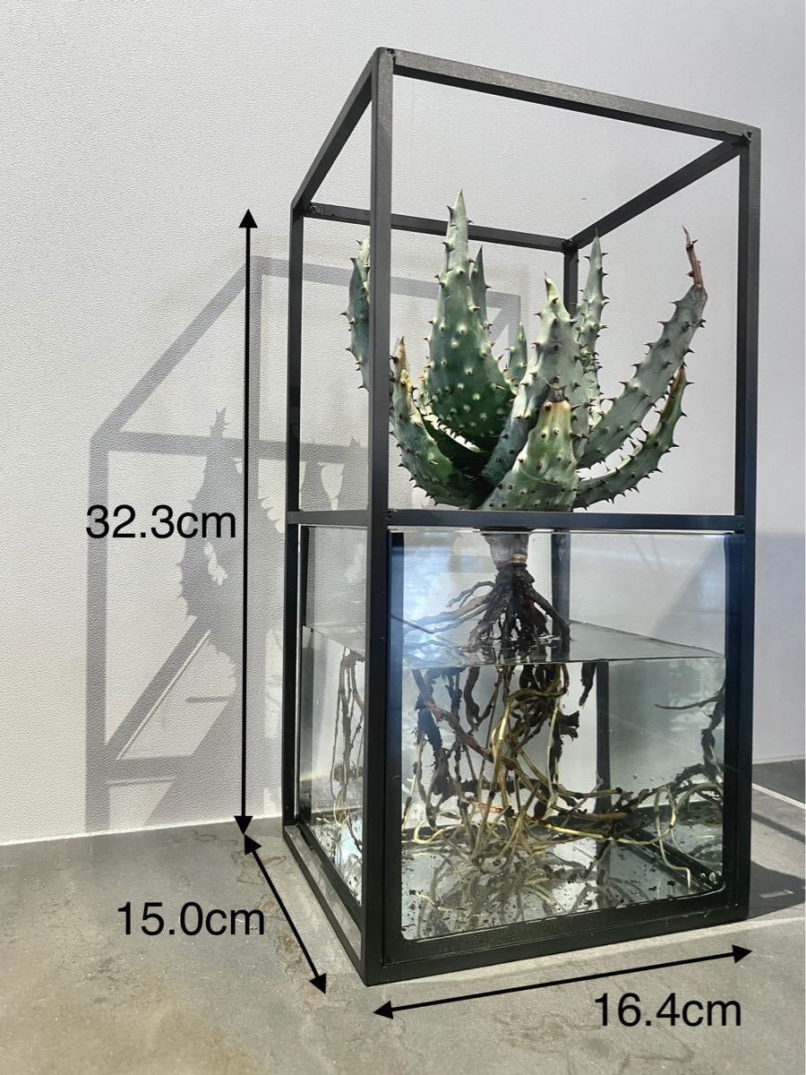大切な ☆Botanic Cube☆水耕栽培キット 鉢 プランター アイアン 水槽 ...