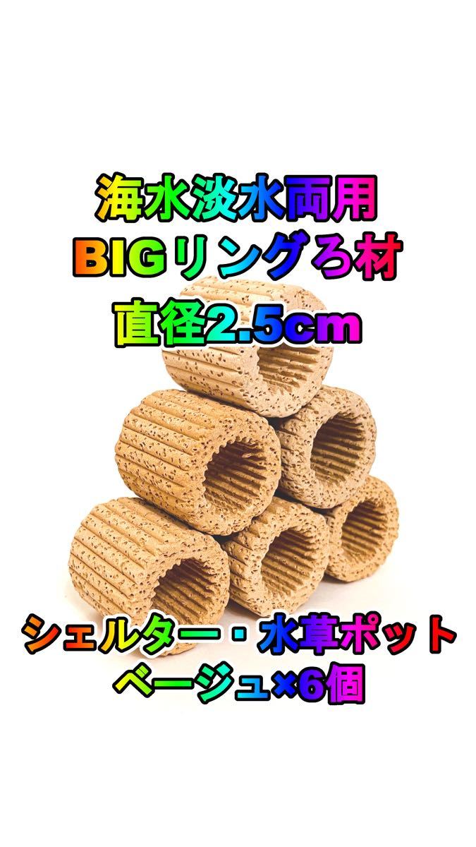 返品不可 Big濾過材 ベージュ6個 水草ポット シェルター リングろ材 海水淡水可ろ過材 その他 Www We Job Com 返品不可 Big濾過材 ベージュ6個 水草ポット シェルター リングろ材 海水淡水可ろ過材 その他 Www We Job Com