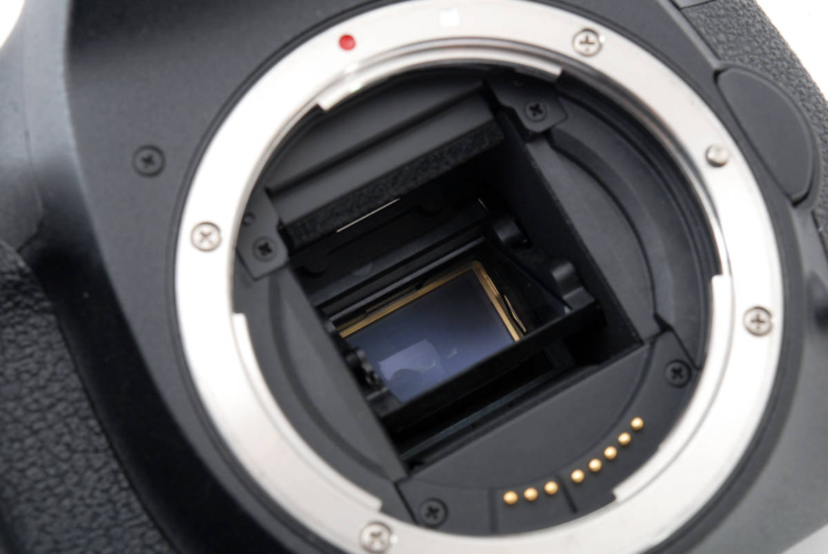 Canon キャノン EOS 7D ボディ デジタル一眼レフカメラ ◆付属品多数◆ #5759_画像10