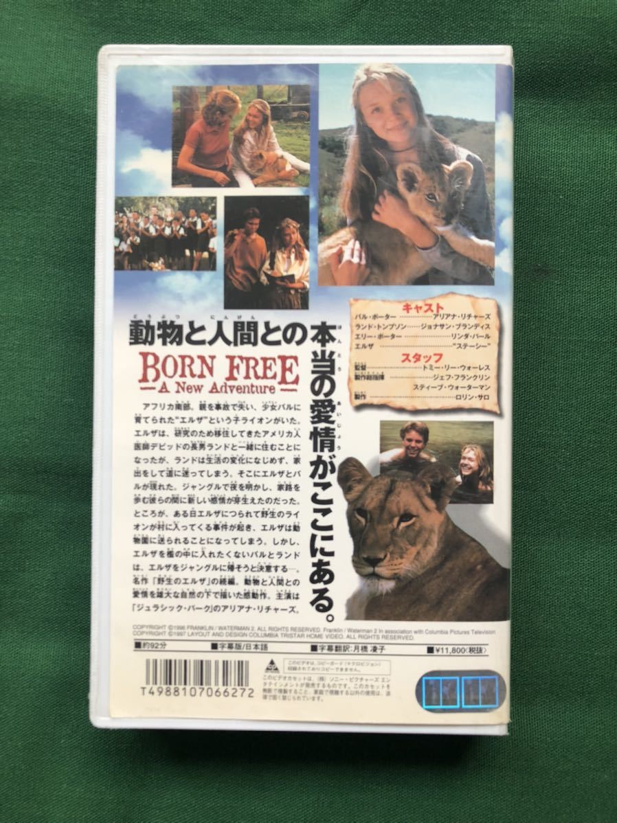 送料2本まで230円、アリアナ・リチャーズ、VHS、非レンタル落、野生のエルザ２、新たなる冒険、BORN FREE: A NEW ADVENTUREA_画像2