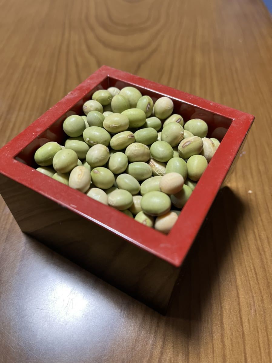 新大豆 令和3年産 山形県産 秘伝豆 青大豆 大粒 青豆 大豆 20キロ