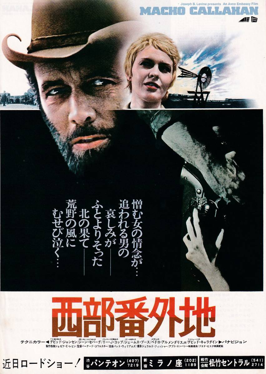 チラシ/デビッド・ジャンセン「西部番外地」バーナード・コワルスキー監督_画像1