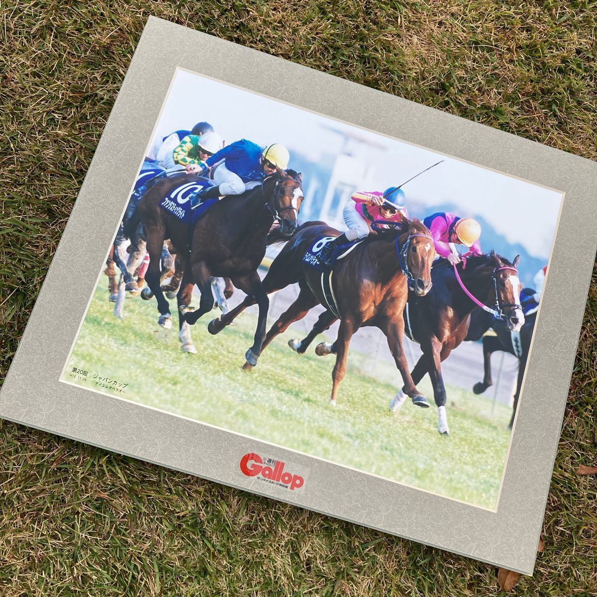 jra競馬JCテイエムオペラオー優勝パネル jra競馬JCテイエムオペラオー優勝パネル