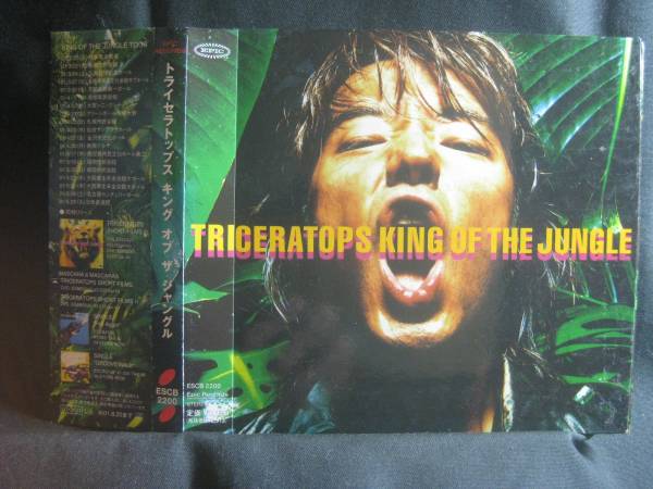 TRICERATOPS / KING OF THE JUNGLE ◆CD775NO◆CD_画像1
