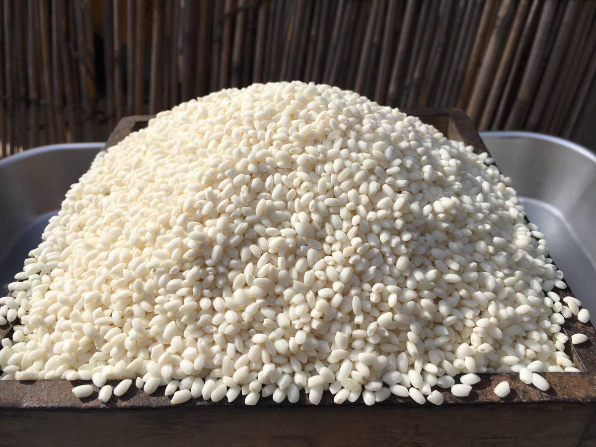 ●令和3年 2021年 もち米（カグラモチ） 白米 20㎏ 三重県産●_小石、変色米などの混入があります