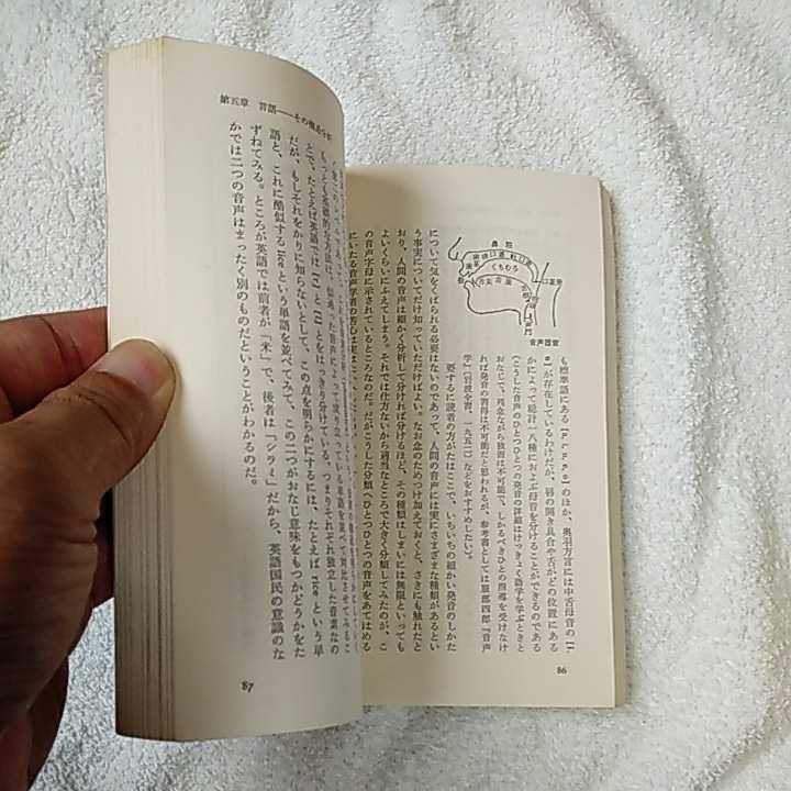 文化人類学入門 (中公新書) 祖父江 孝男 訳あり ジャンク_画像8