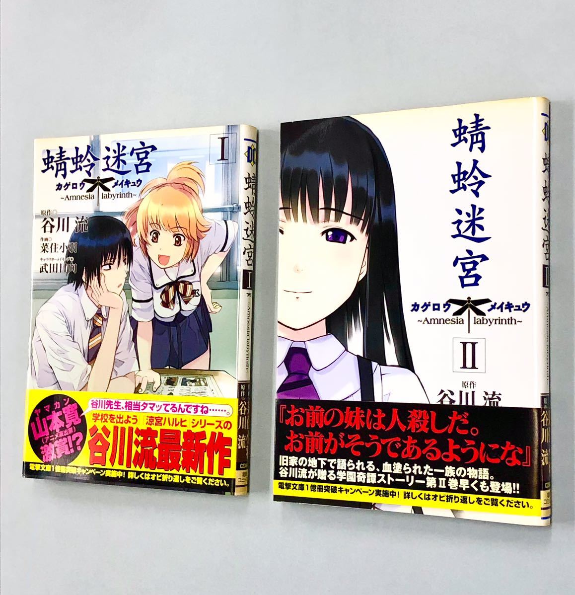 即決！すべて初版帯付！谷川流　菜住小羽「蜻蛉迷宮　カゲロウメイキュウ」全2巻セット_画像1