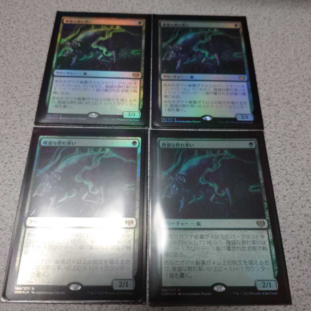 MTG VOW 隆盛な群れ率い 日本語foil 四枚セット イニストラード 真紅の契り 即決_画像1