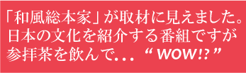 お茶 日本茶 煎茶 巣鴨参拝茶100g×12袋セット 送料無料_画像2