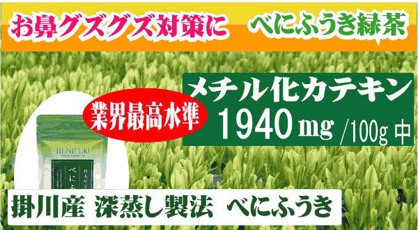 健康茶 べにふうき 粉末 国産 40g×6袋セット 国産(掛川産) べにふうき茶 送料無料_画像2