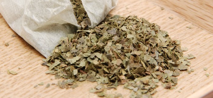 健康茶 柿の葉茶 30g(1.5g×20パック)×3袋セット 国産無農薬 鹿児島県産 ノンカフェイン 送料無料_画像4