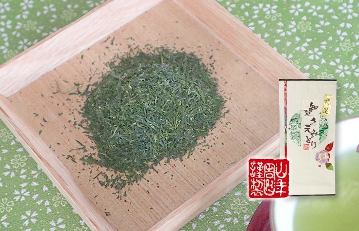 お茶 日本茶 煎茶 日本茶 お茶 茶葉 知覧さえみどり 100g×6袋セット 送料無料_画像3