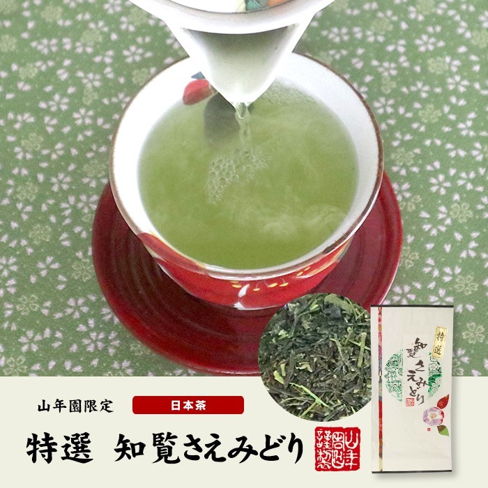 お茶 日本茶 煎茶 日本茶 お茶 茶葉 知覧さえみどり 100g 送料無料_画像2