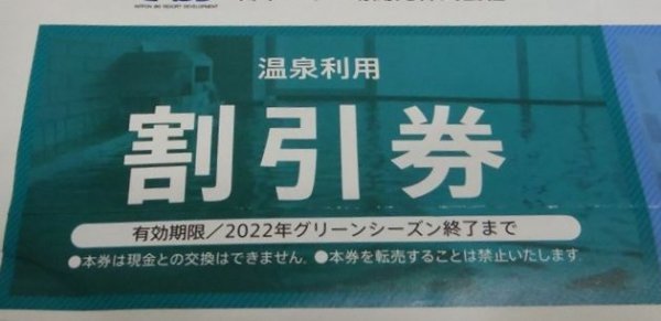 ♪日本駐車場開発　株主優待券　「 温泉利用割引券」_画像1
