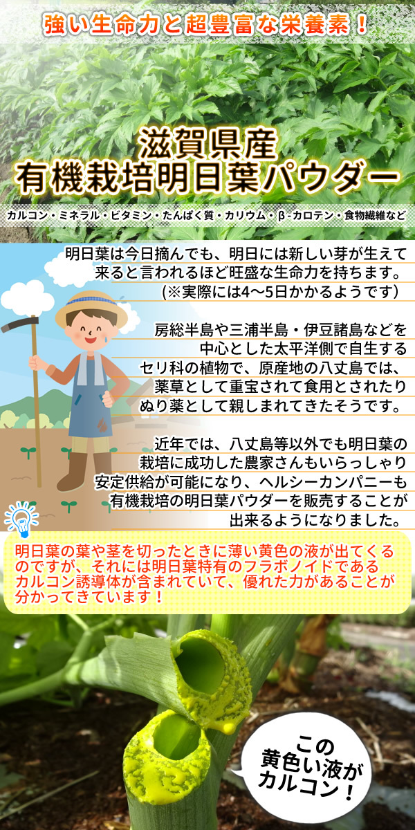 滋賀県産 有機 明日葉パウダー100g　オーガニック 粉末 国産_画像2