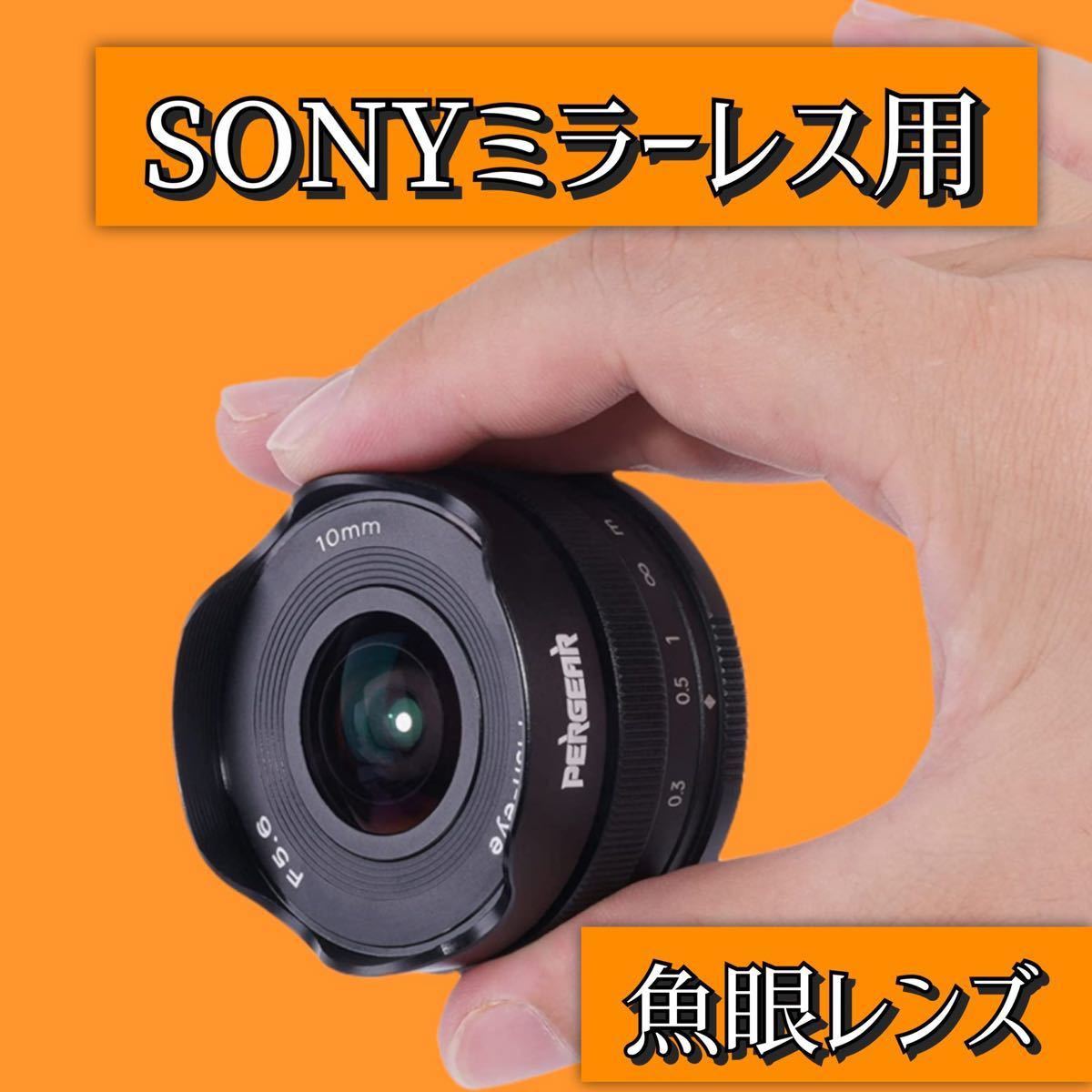 品質満点 10mm F5 6 パンケーキ魚眼レンズ Aps C Sony Eマウントカメラ用 サードパーティ製 フィッシュアイレンズ カメラ Reachahand Org