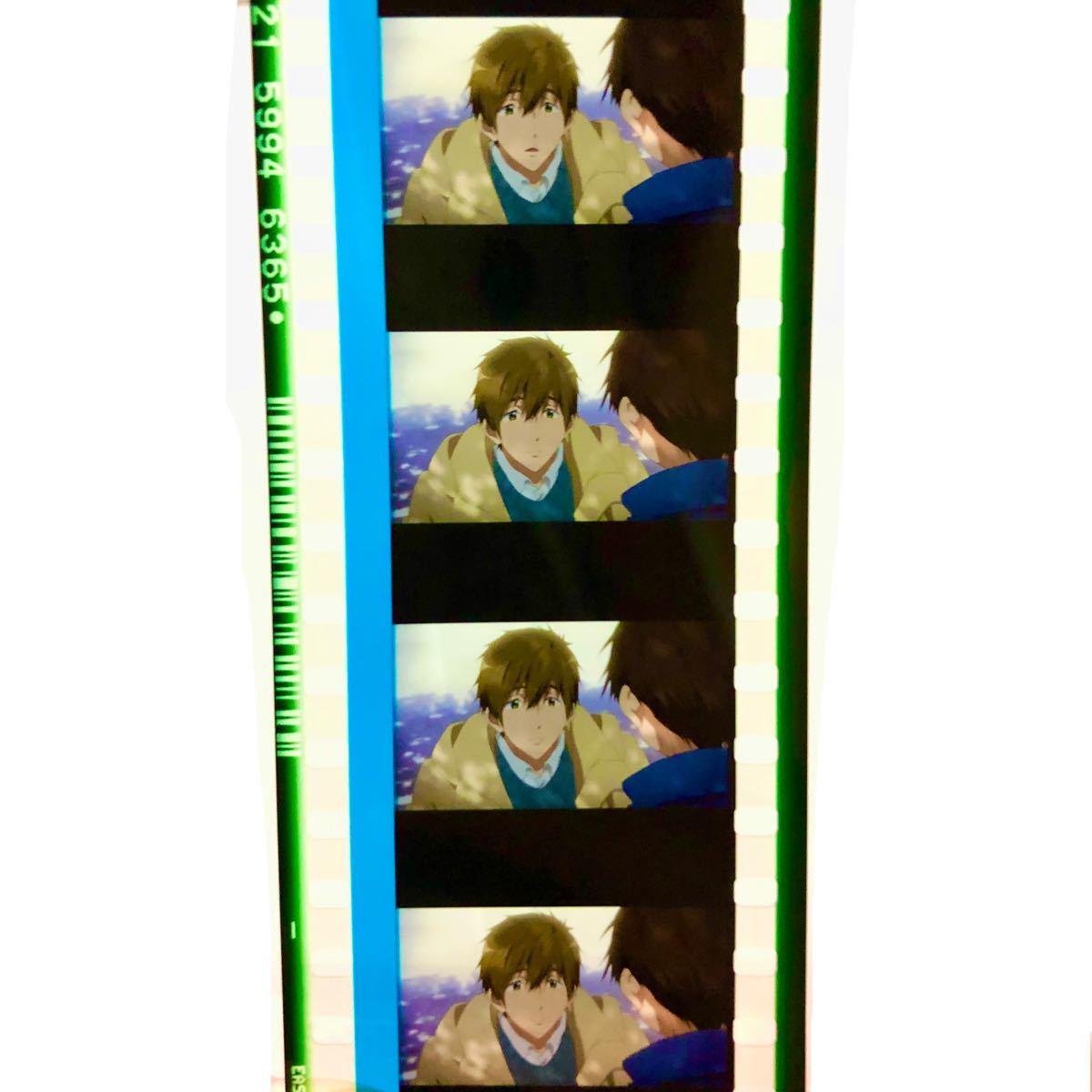 Feel フィルム 真琴 アップ コマ変化あり free 真琴 フィルム アップ