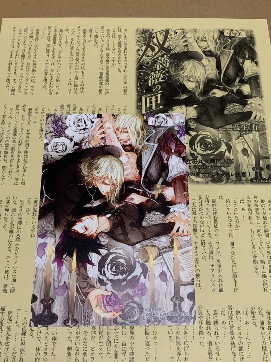 ヤフオク 藍生有 笠井あゆみ 非売品 Ssペーパー イラスト ヤフオク 藍生有 笠井あゆみ 非売品 Ssペーパー イラスト