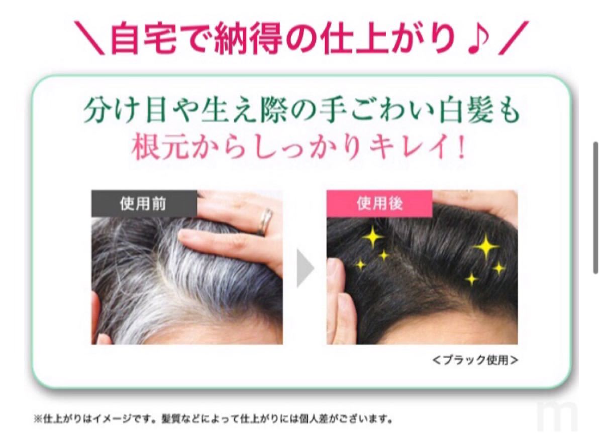 【新品】利尻昆布　ヘアカラートリートメント　白髪用　ブラック　2本