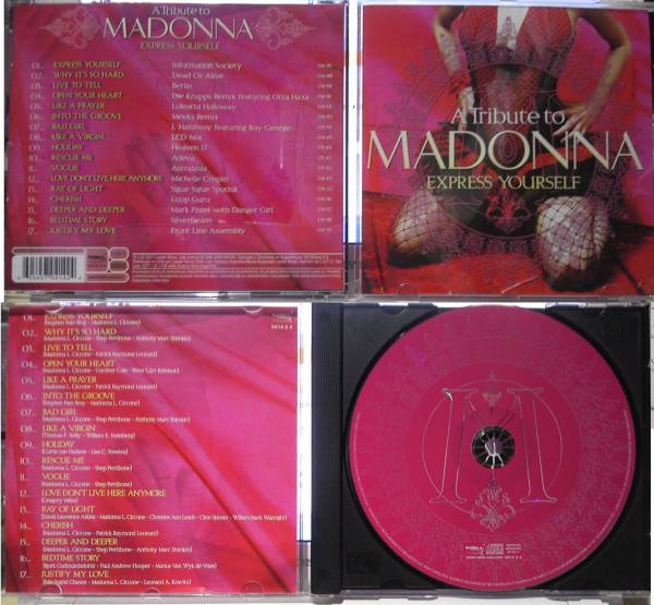 VARIOUS ARTISTS VIRGIN VOICES 2000 A TRIBUTE TO MADONNA