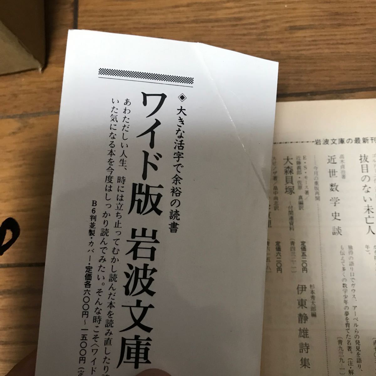 完訳 アンデルセン童話集 (２) 岩波文庫／ハンスクリスチャンアンデルセン (著者) 大畑末吉 (著者)