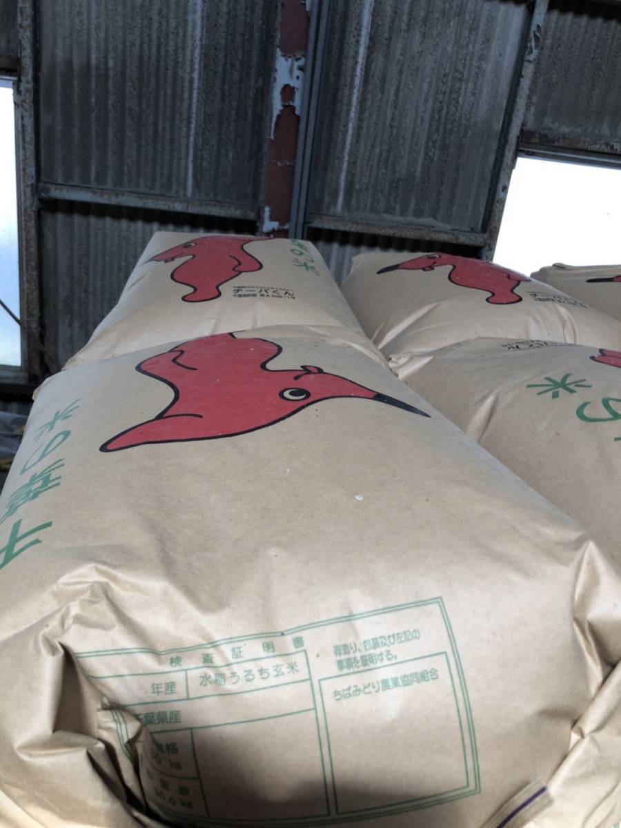令和3年度 新米 今季限り コシヒカリ 農家直送 玄米30kg 千葉県産 チーバくん 精米要相談_画像2
