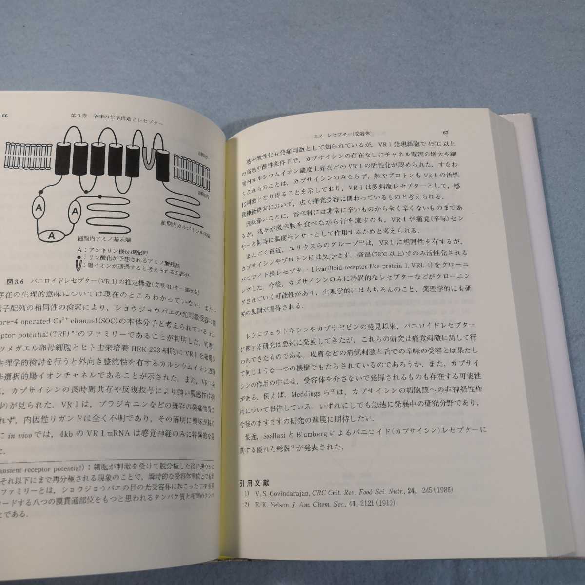 トウガラシ‐辛味の科学／岩井和夫・渡辺達夫●送料無料・匿名配送