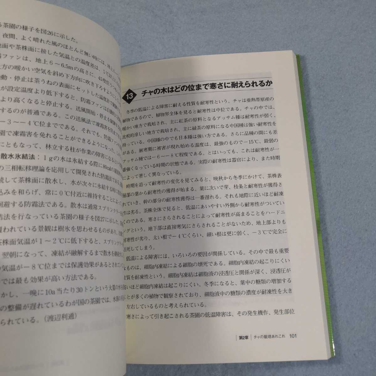 茶のサイエンス‐育種から栽培・加工・喫茶まで／武田善行●送料無料・匿名配送_画像6