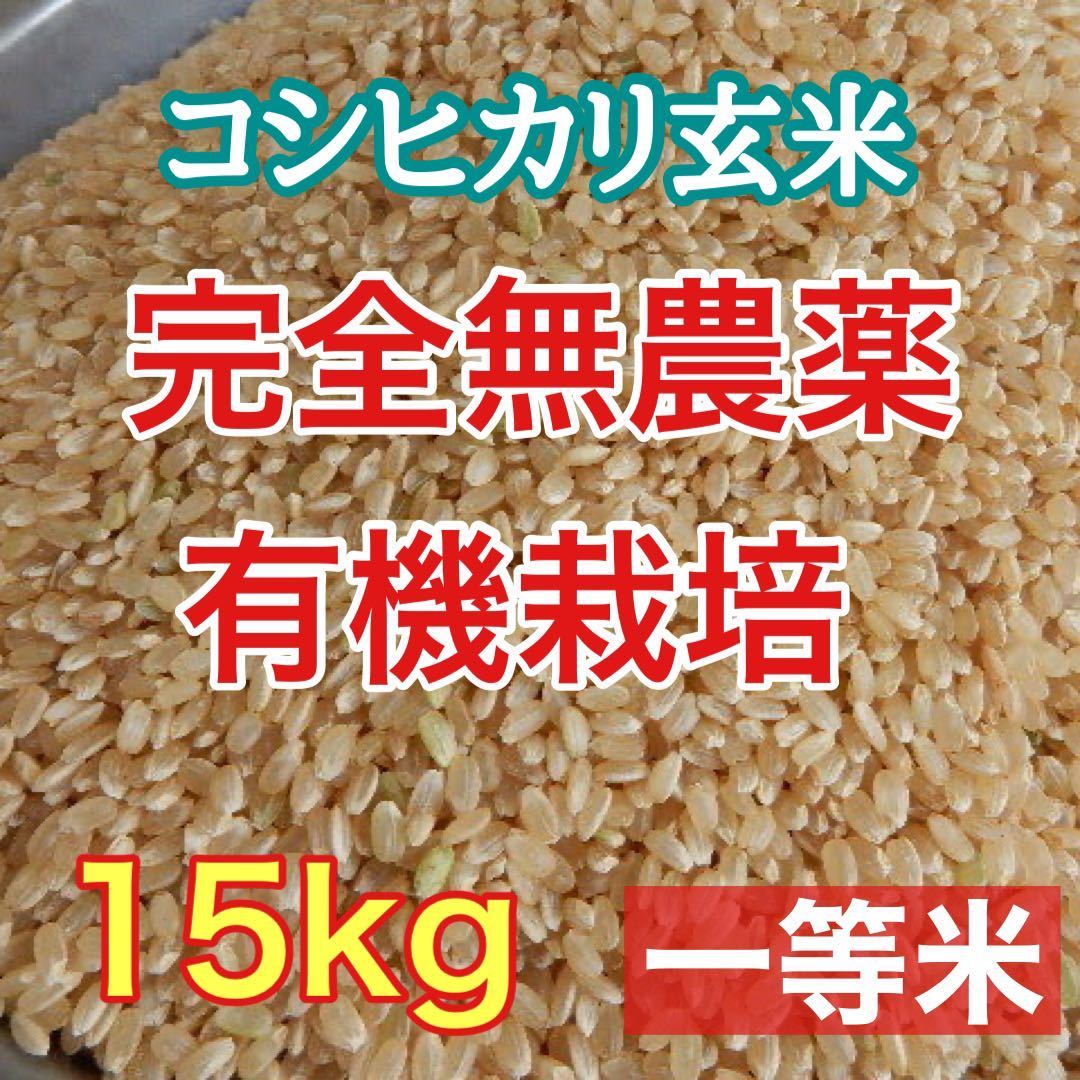 完全無農薬有機栽培 15キロ 『一等米』令和3年 新米 コシヒカリ玄米 美味しい実家のお米 発芽玄米になります！送料無料！_画像1