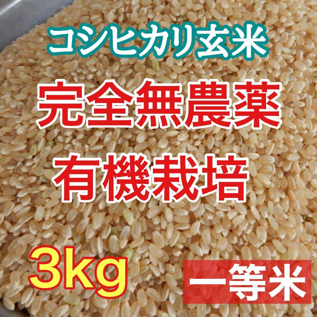 完全 無農薬 有機栽培 無除草剤 3キロ『一等米』令和3年 新米 コシヒカリ玄米 発芽玄米になります 農家直送　精米無料 送料無料_画像1