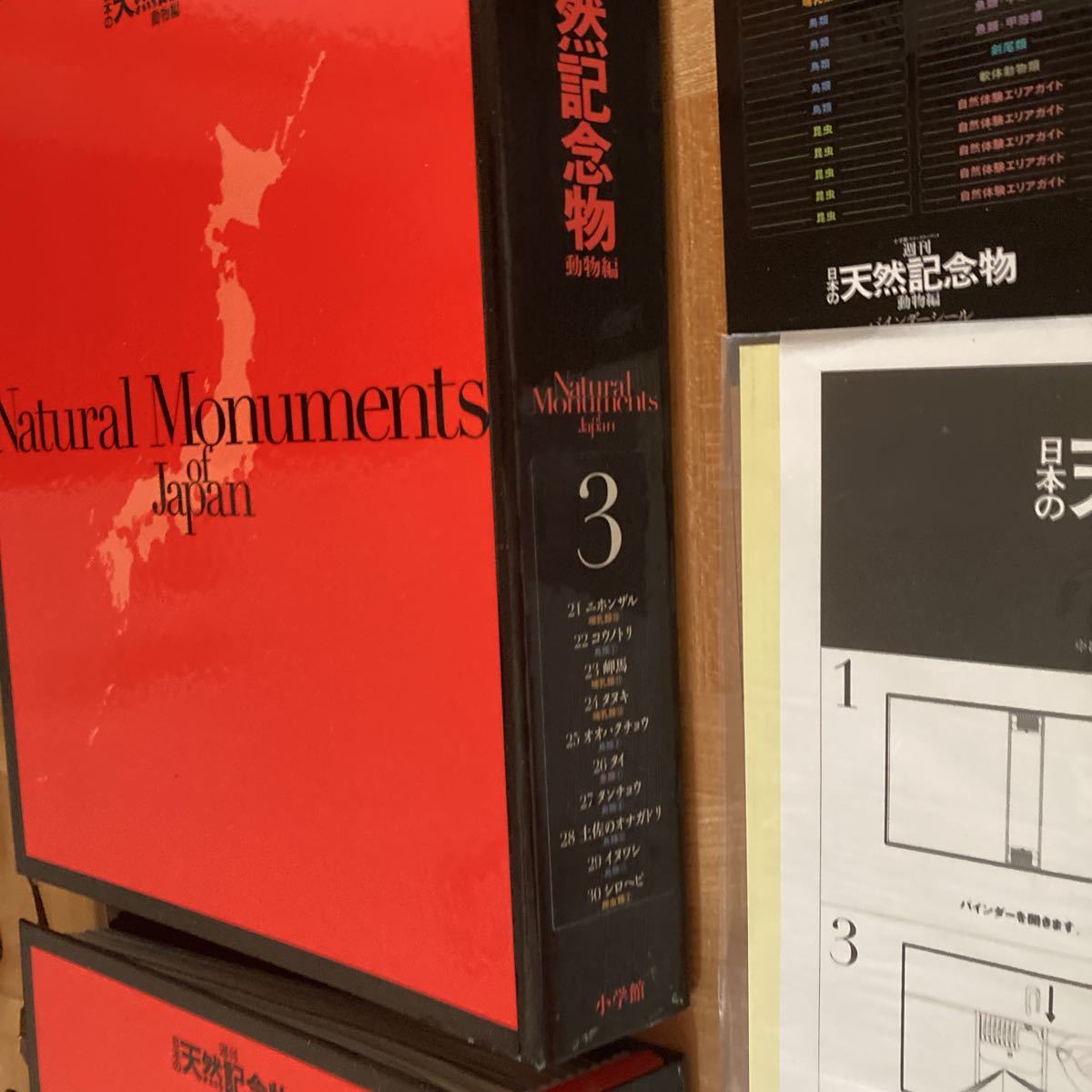 週刊日本の天然記念物動物編全50巻専用バインダー立体動物模型全て揃っています定価85050巻大切に保管新品同様_画像6