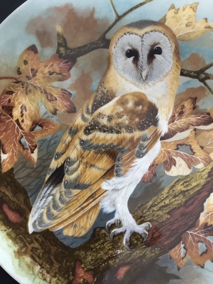 英国ヴィンテージ ◆ 1989年コールポート「Barn Owl」 by Michael B. Sawdy メンフクロウ　絵皿　飾り皿　95日間限定生産_画像3