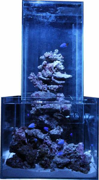  aqua tower 300 glass aquarium 