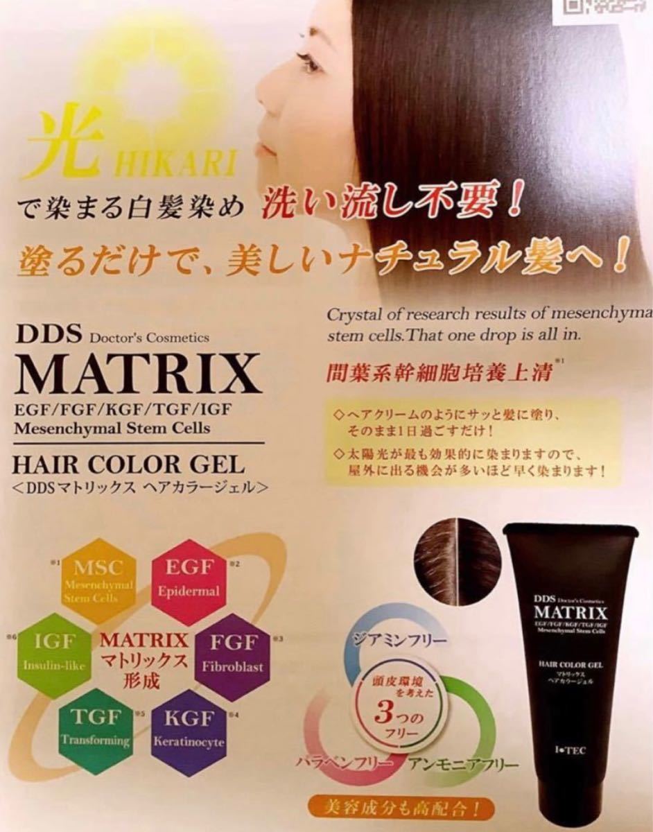 アイテックDDS　マトリックス　ヘアカラージェル　日光で白髪染める　2個セット　新品未開封