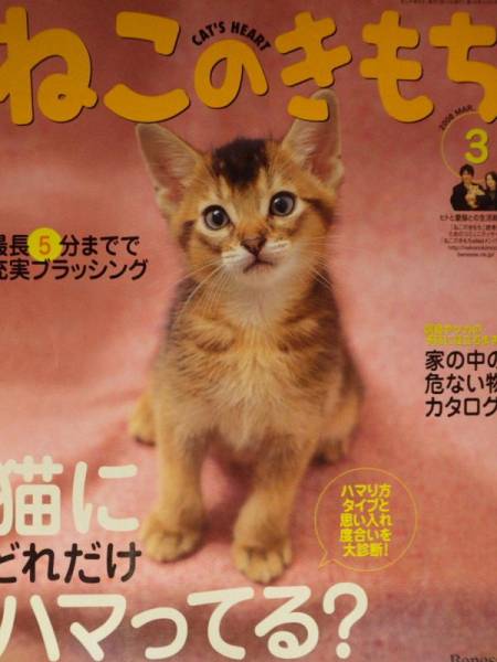 【雑誌-猫】ねこのきもち 2008年3月号 **猫にどれだけハマつてる_画像1