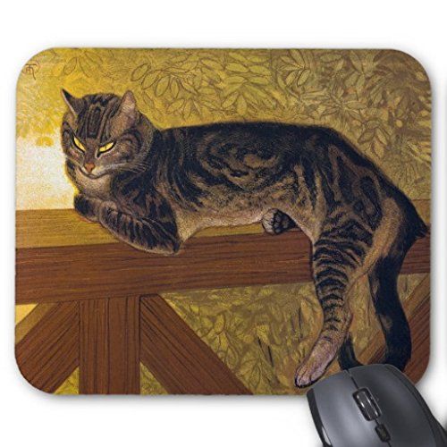  Stan Ran [ summer - handrail. on. cat ]. mouse pad 