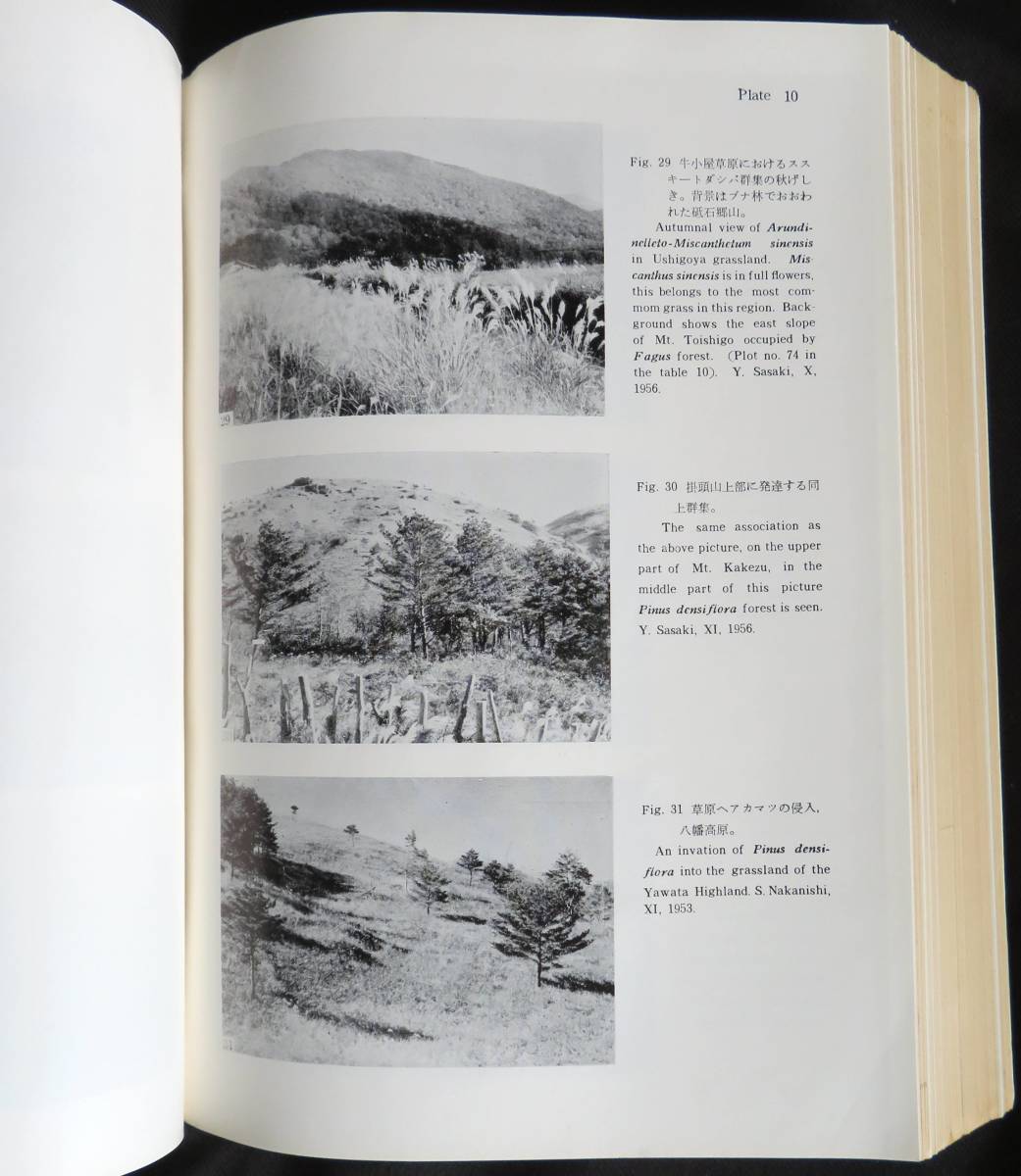 kp01b◇超希少本◇『 三段峡と八幡高原 総合学術調査研究報告 kp01b◇超希少本◇『 三段峡と八幡高原 総合学術調査研究報告