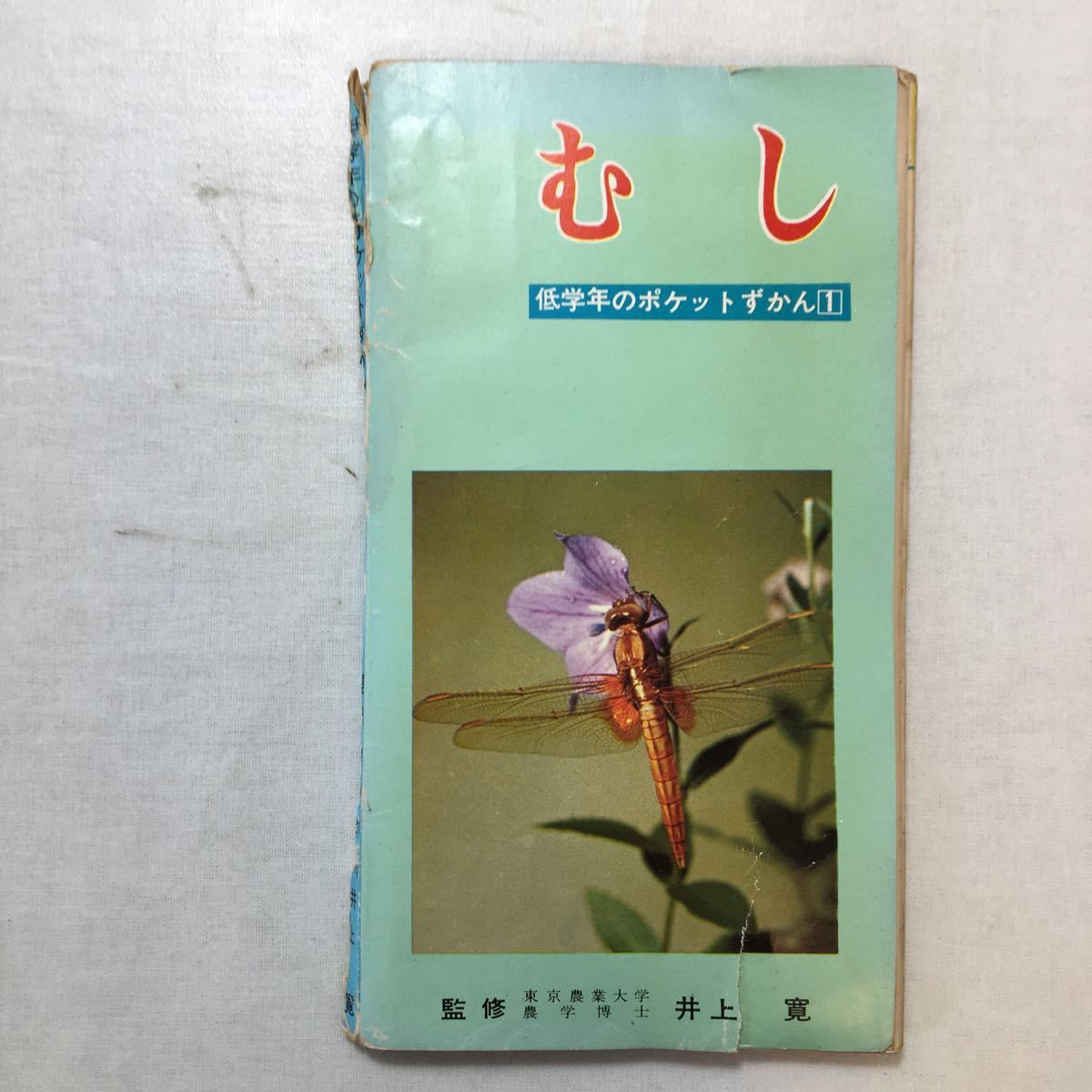 zaa-272♪低学年のポケットずかん1『むし』井上寛(監修) 学習研究社　1969年_画像1