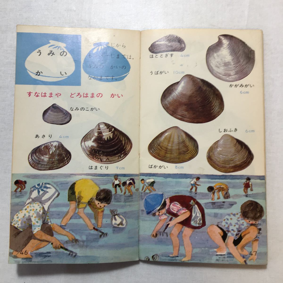 zaa-272♪低学年のポケットずかん3『さかなとかい』酒井恒(監修) 学習研究社　1966年