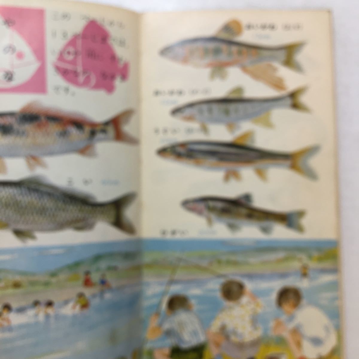 zaa-272♪低学年のポケットずかん3『さかなとかい』酒井恒(監修) 学習研究社　1966年