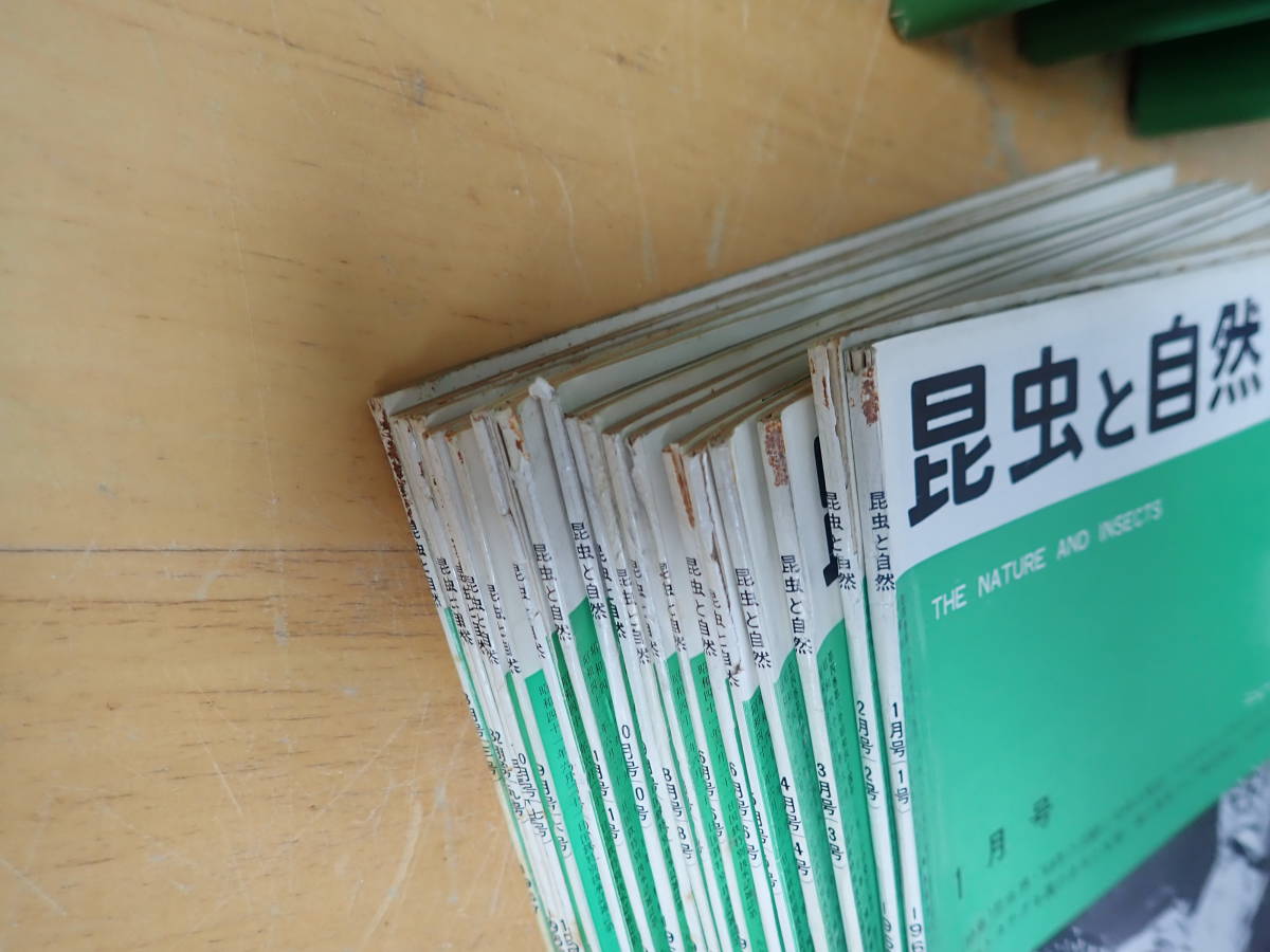G⑭E】大量☆昆虫と自然 1966年~1976年 まとめて120冊セット G⑭E】大量☆昆虫と自然 1966年~1976年 まとめて120冊セット