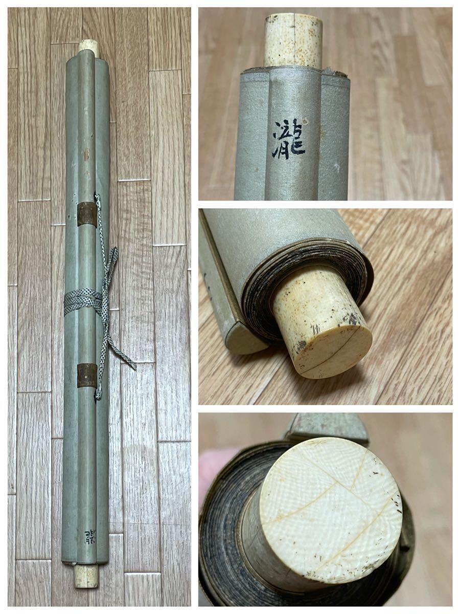 ♥掛軸 【模写】 晴川 法眼 【茄子】 狩野 晴川院 掛け軸 骨董品 掛軸 【模写】 晴川 法眼 【茄子】 狩野 晴川院 掛け軸 骨董品